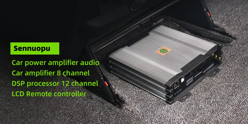 12 Channel Digital Sound Processor with 8 Channel Amplifier